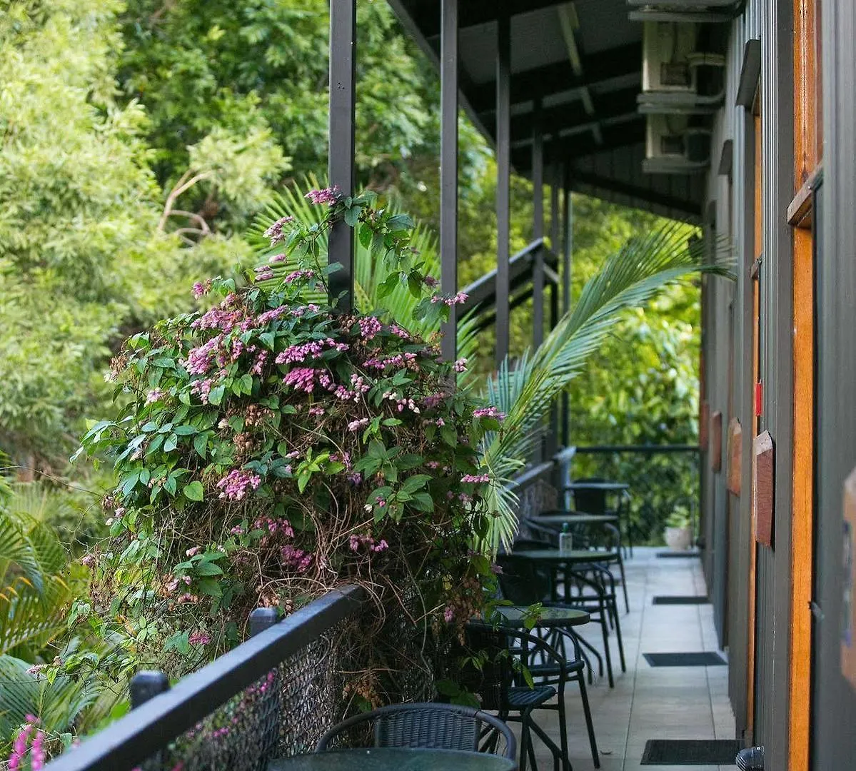 Daintree Wild Bed & Breakfast