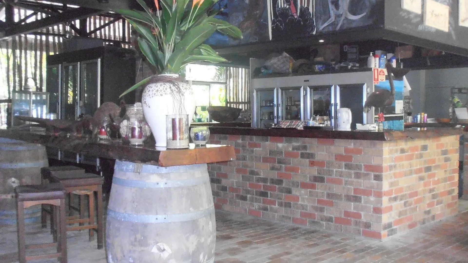 Daintree Wild Bed & Breakfast