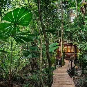 Resort Wilderness