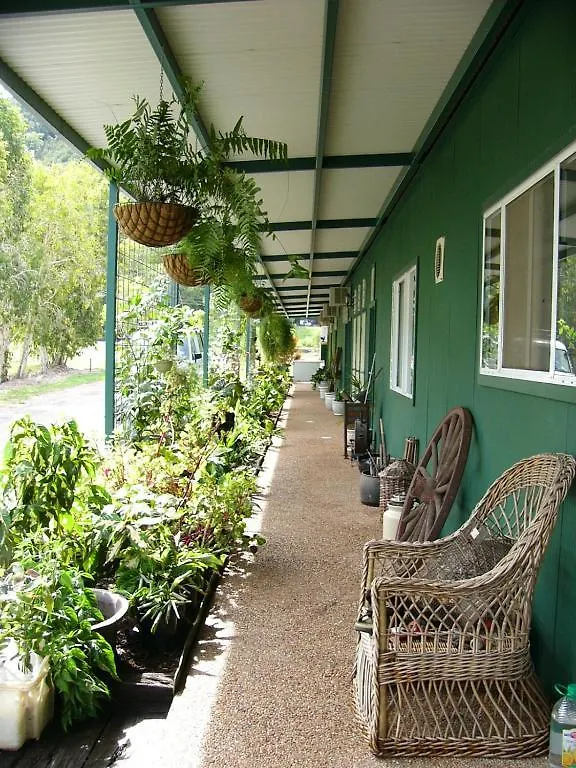Daintree Wild Bed & Breakfast Australia