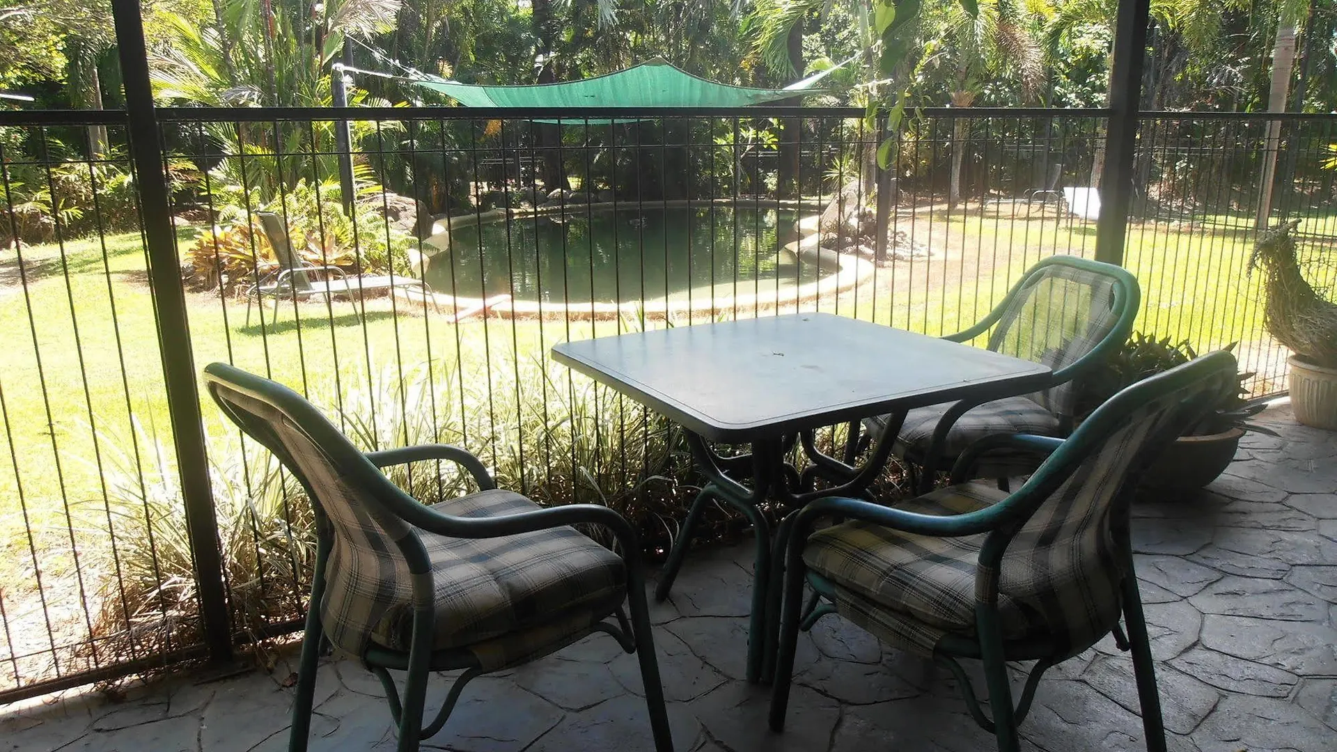 Daintree Wild Bed & Breakfast Australia
