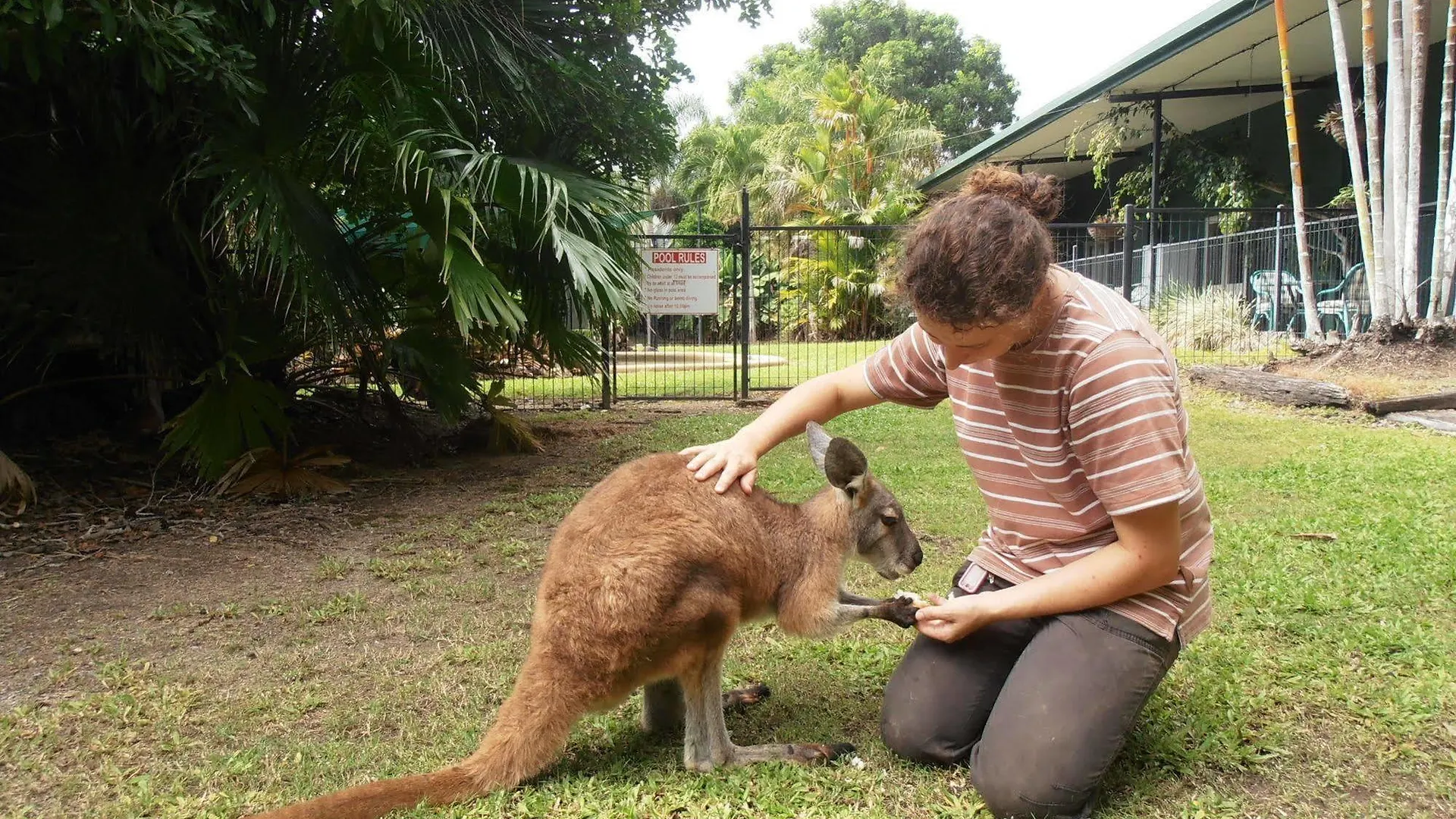***  Daintree Wild Bed & Breakfast Australia